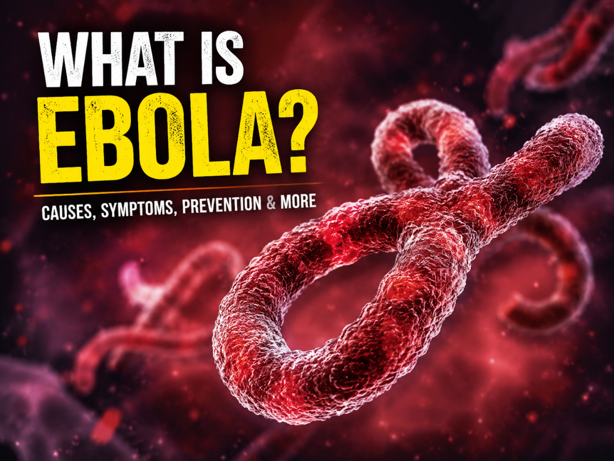 What is Ebola? Check Latest Updates on Causes, Symptoms, Treatment, Prevention, Health Risks, & Everything You Need to Know About Ebola Virus Disease
